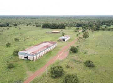 Rural de 1 quarto, São Félix do Araguaia ·  Faz.  83.346 hectares! Descubra o paraíso produtivo em Mato Grosso.