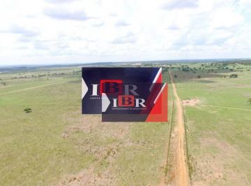 25314fd6bc4f9ca3a08a1037799eaf480600b412 · Fazenda em Amambai - MS