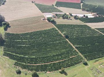Foto 01 · FAZENDA DE CAFÉ NA REGIÃO DE MACAÚBAS DE BAIXO