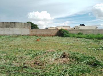 Terreno , Gama · Condomínio Villa Verde, Ponte Alta