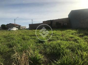 Terreno · 600m² · Lotes no alto do Balneário Meia Ponte. codigo: 98988