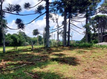 675397_it1o2X_675397677d1796c88c8.jpg · Terreno em Tuiuty com 1.200m², seja 30 x 40