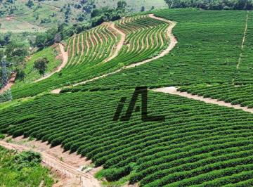 d75654b02608bb2e8d50de1207f4eedb29c68539 · Terreno rural à venda, 17 alqueires - Córrego Alegre - Colatina/Espírito Santo