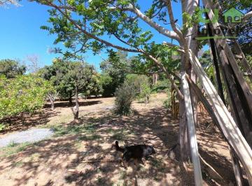 d67b68ea85f24abab4af09b0c7fb2f5041962ad4 · Terreno à venda, 1376 m² por R$ 600.000,00 - Lagoinha de Fora - Lagoa Santa/MG
