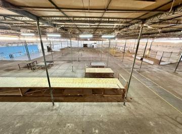 fa3efd9c0e9785ff087a0ee0c75049611c946c75 · Galpão para alugar, 3990 m² por R$ 34.000,00/mês - Tabapuá - Caucaia/CE