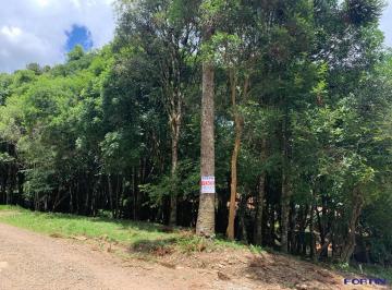 Terreno · 348m² · Terreno à venda em Ana Rech, Caxias do Sul