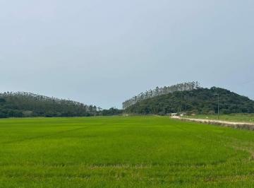 Terreno · 297000m² · Terreno à Venda em Jaraguá do Sul, 297.000,00m² àrea total - Poço Grande