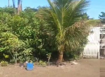 Rural · 100m² · 3 Quartos · 6 Vagas · Rurais à venda - no Parque Vergara