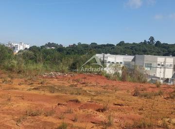 Terreno · 619m² · Terreno São Jose dos Pinhais