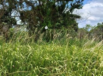 0bacc0d130ce0a7ea1663dbfcee036b04aa3c0cd · Terreno à venda, 449 m² por R$ 25.000,00 - Itatiquara - Araruama/RJ