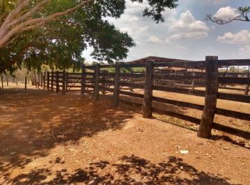 Rural de 3 quartos, Souzalândia · EXECELENTE FAZENDA EM GOIÁS