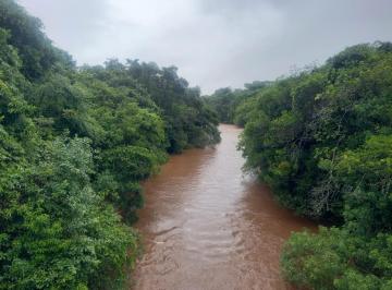 Rural de 4 quartos, Altinópolis · Sítio arrumado ,organizado 