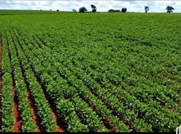 Rural , Tatuí · FAZENDA EXCEPCIONAL GEORREFERENCIADA ITR CCIR 126,07 ALQUEIRES SITUADA EM TATUÍ - SP