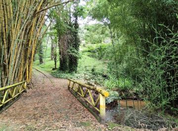 Foto 24 · Fazenda à venda em Brumadinho-MG - distrito de São José do Paraopeba - 11 quartos - espaço eventos -