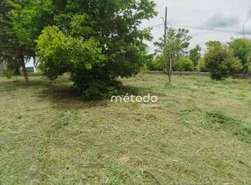 85030f295789be622bef4bdcfa69afe8a5cb4a74 · Terreno à venda, 1600 m² por R$ 225.000 - Bairro Parque Agrinco - Guararema/SP
