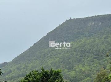 f2b4c5a2ea8bd2d7f71427d50cb64d2de12d8ba8 · Sítio à venda, 28000 m² por R$ 1.200.000,00 - Eugenio Ferreira - Canela/RS