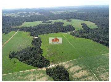 b92f3f0ee564b057f6f978e8b86483f1.jpg · Fazenda na região de Alta Floresta - MT, dupla aptidão, com 33.000 hectares, 7.000 hectares abertos