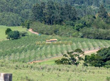 2023110621084867059.jpg · Sítio para Venda em Morungaba, area rural