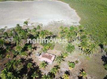 Terreno , Cairu · Lote de terreno com 102.500m² (10,25 ha) à venda em Boipeba, Cairu - Bahia