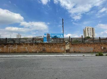 Foto 01 · Terreno, Vila Leonor, São Paulo, SP