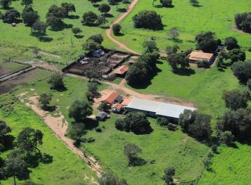 Rural , Crixás · Fazenda a venda em Crixas-GO - 2.784 HA - Dupla aptidão - Topografia plana