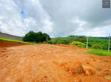 202501131706374291.jpg · Lote para Venda em Pinhalzinho, CENTRO