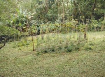 Rural · 1600m² · 3 Quartos · 5 Vagas · chacara santo andré