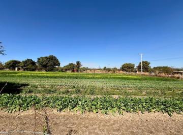 Foto 07 · TERRENO DE 10.000 M² A VENDA NO INCRA 7