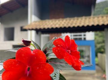 ifaitmk2nzvjnwe0ode2nzk4_md · Casa com 4 suítes, 224 M² , no Bairro Granja Guarani