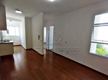89738_i7P7368_897386676d0d78a170.jpg · Imoveis - em Aparecidinha