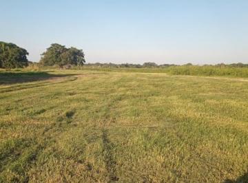 Rural , Poconé · FAZENDA-MATO GROSSO-PACONÉ 4.203,30 ALQUEIERES