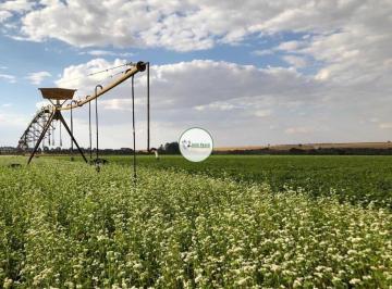 Rural , Catalão · Fazenda a venda em Catalão-GO - 968 HA - Ótima para soja