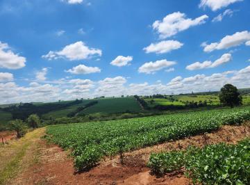 Rural · 121000m² · Sítio de 5 alqueires em Artur Nogueira - SP
