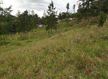 Terreno · 1384m² · Terreno à 50 metros da Dutra