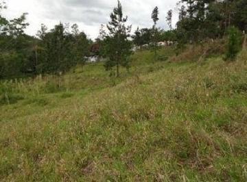 Terreno · 1384m² · Terreno à 50 metros da Dutra