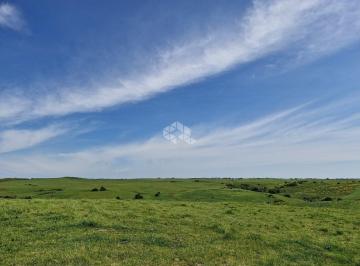 308179_iP52l88Z1ULCfFr4piM7_30817967880013a2051.jpg · Fazenda com 1390  ha a venda em Uruguaiana no RS