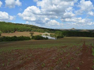 355695_idi8u_355695646276e2a0532.jpg · Fazenda na Região de Lagoa Vermelha no RS