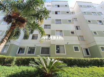 0 · apartamento à venda em Jardim Nova Europa
