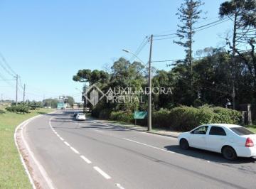 664627_iGb1c11U1T2nn9_6646276769bc9f26945.jpg · Terreno em Canela - oportunidade única - ótima localização