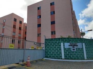 Apartamento · 48m² · 2 Quartos · Condomínio Jardim Ipitanga Life | Caji