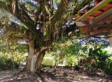 Foto 01 · VENDO Sítio de 817m² em Condomínio Fechado com Açude em Águas Claras - Viamão.