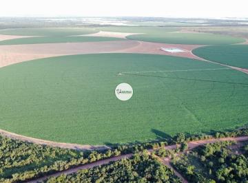 Rural , Paracatu · Fazenda a venda em Paracatu-MG - 957 HA - P/ AGRICULTURA