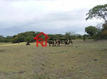 Foto 01 · Excelente oportunidade de investimento: Área à venda no Centro de Boa Vista do Gurupi-MA