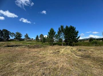 Terreno · 4905m² · TERRENO CONDOMÍNIO  QUATRO BARRAS - PR