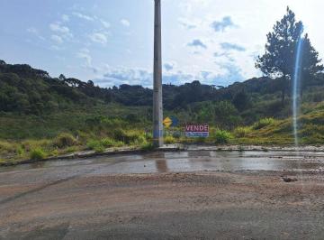 f58b17bc1f75b4e66891adafe806d6a76713efd3 · Terreno à venda, 575 m² por R$ 270.000,00 - Centro - Campina Grande do Sul/PR