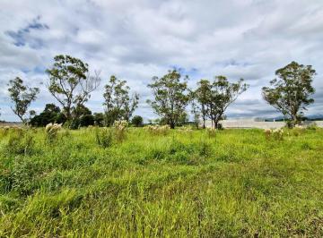 Terreno (Chácara) para VENDA no bairro MANDU em Pindamonhangaba · CHÁCARA/TERRENO - 1.000m² no Mandú em Pindamonhangaba