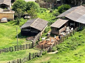 Rural , Porto Firme · FAZENDA 57HA EM PORTO FIRME - MG