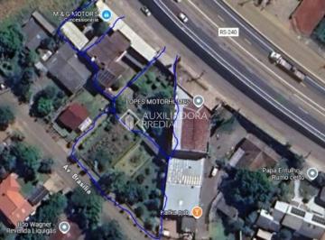 648184_iO8H3c1_648184672ba5b291138.jpg · venda terrano, casa, loja