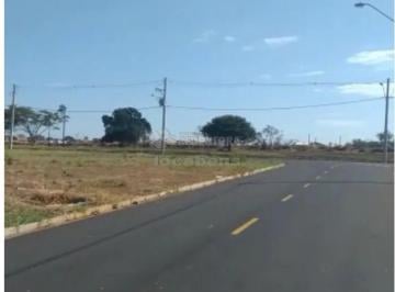 Terreno · 200m² · Terreno Padrão em São José do Rio Preto