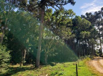 Rural · 20000m² · Chácara em Araucária